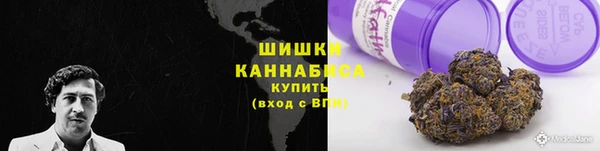 молекула духа Волоколамск