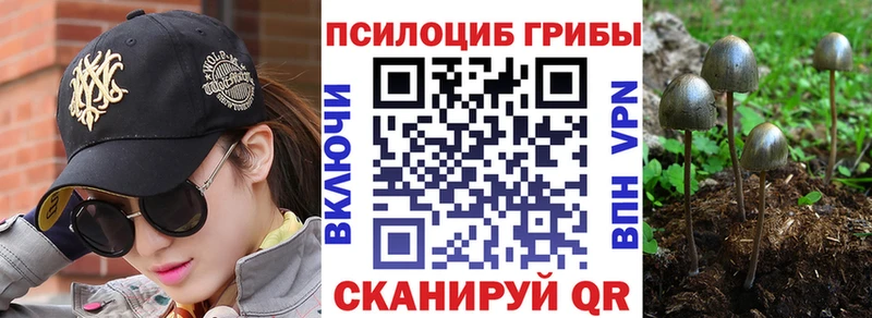 ОМГ ОМГ ссылки  Электроугли  Псилоцибиновые грибы прущие грибы 